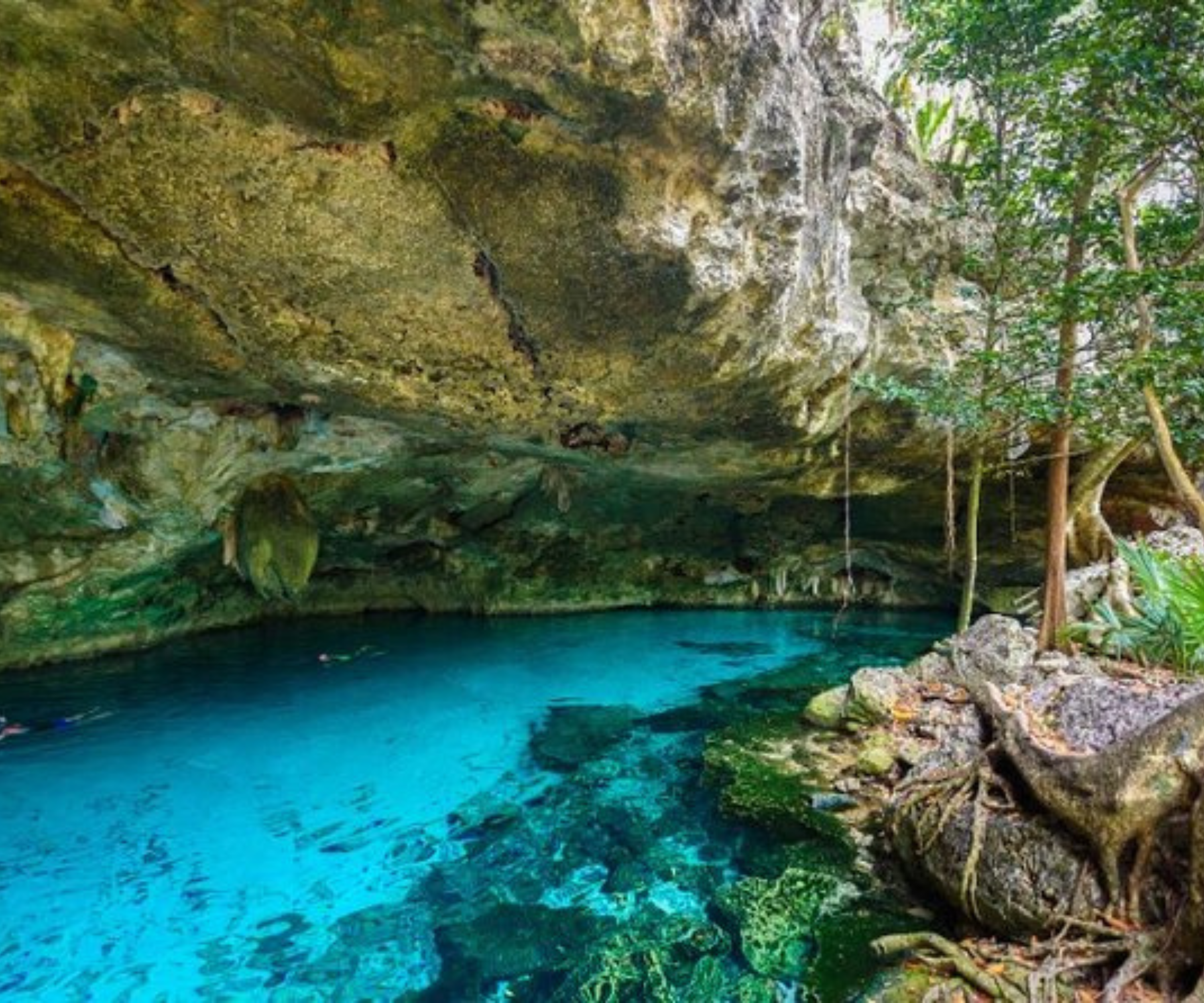 Tulum Cenote and Cobá Mayan Adventure: Dive into Ancient Mysteries