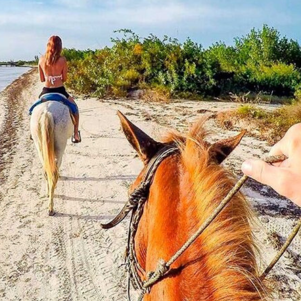 Holbox Beach Horseback Riding: Explore the Serenity