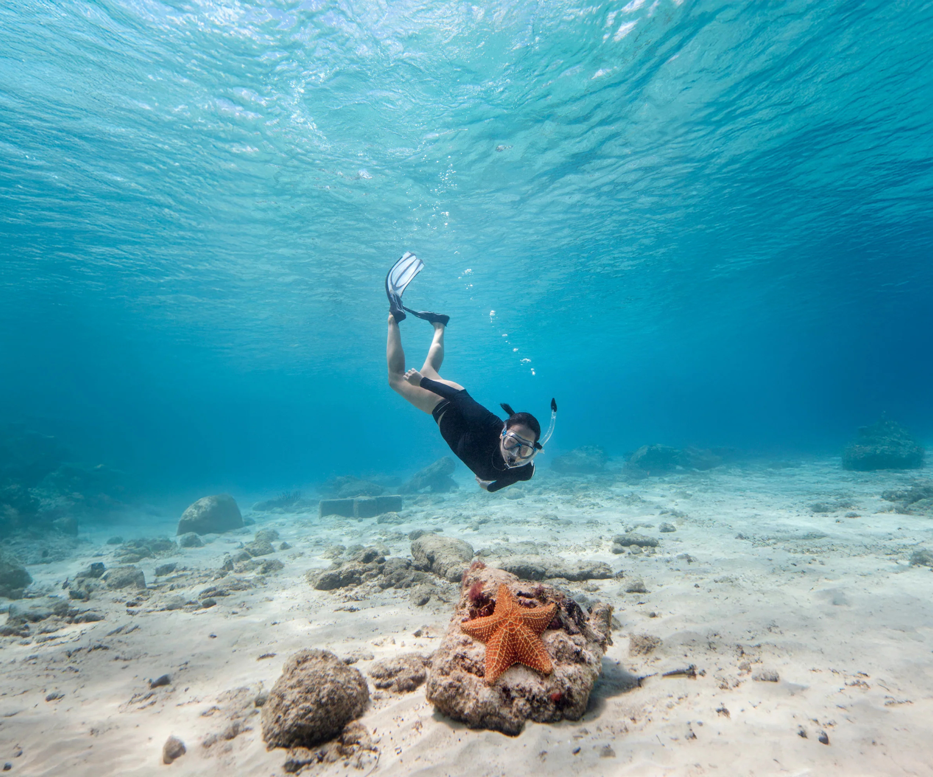 Tulum Mayan Snorkeling Adventure: in Yalku, Cenote & Kaan Luum Lagoon
