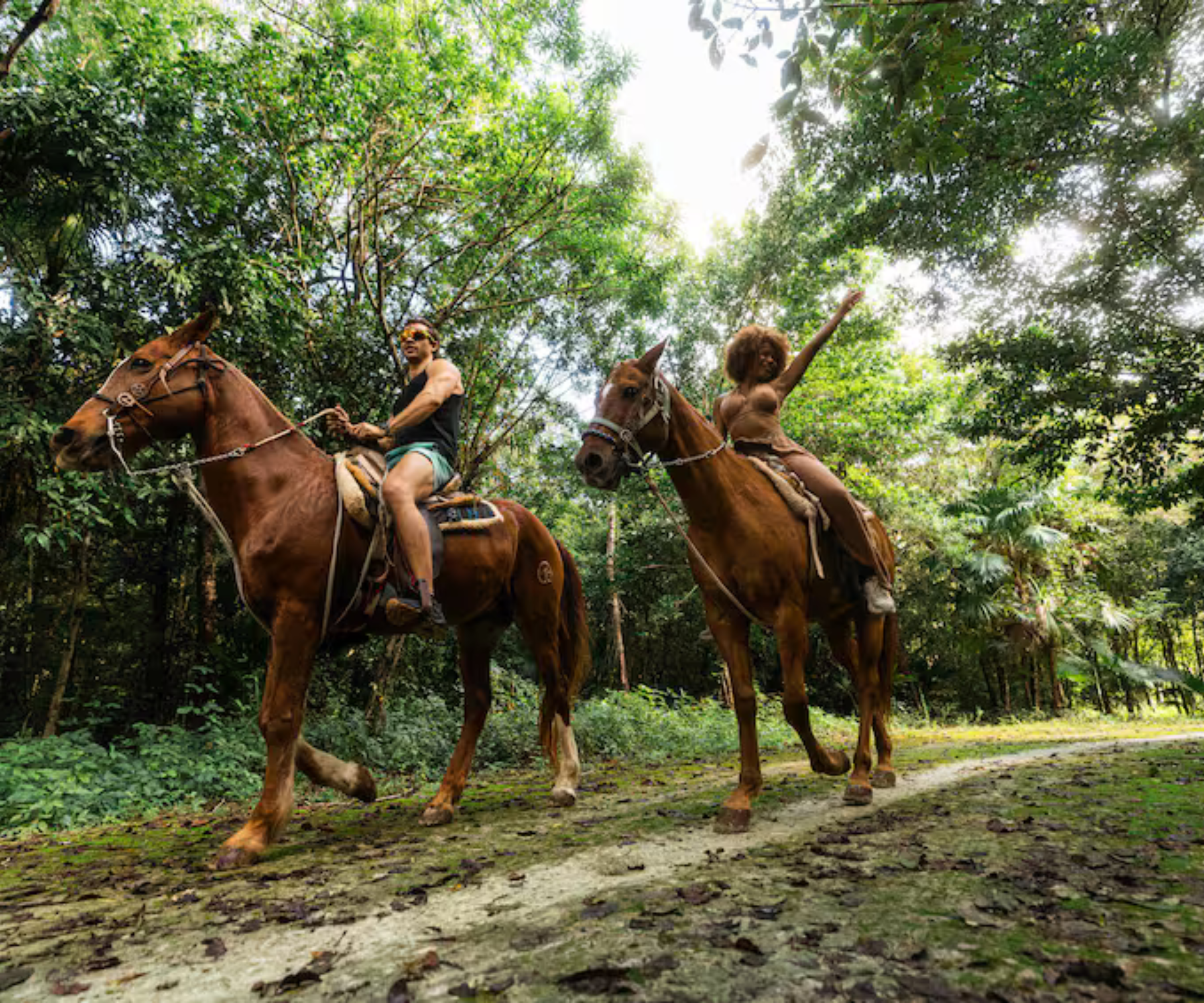 Tulum Jungle Adventure: Horseback Cenote Exploration