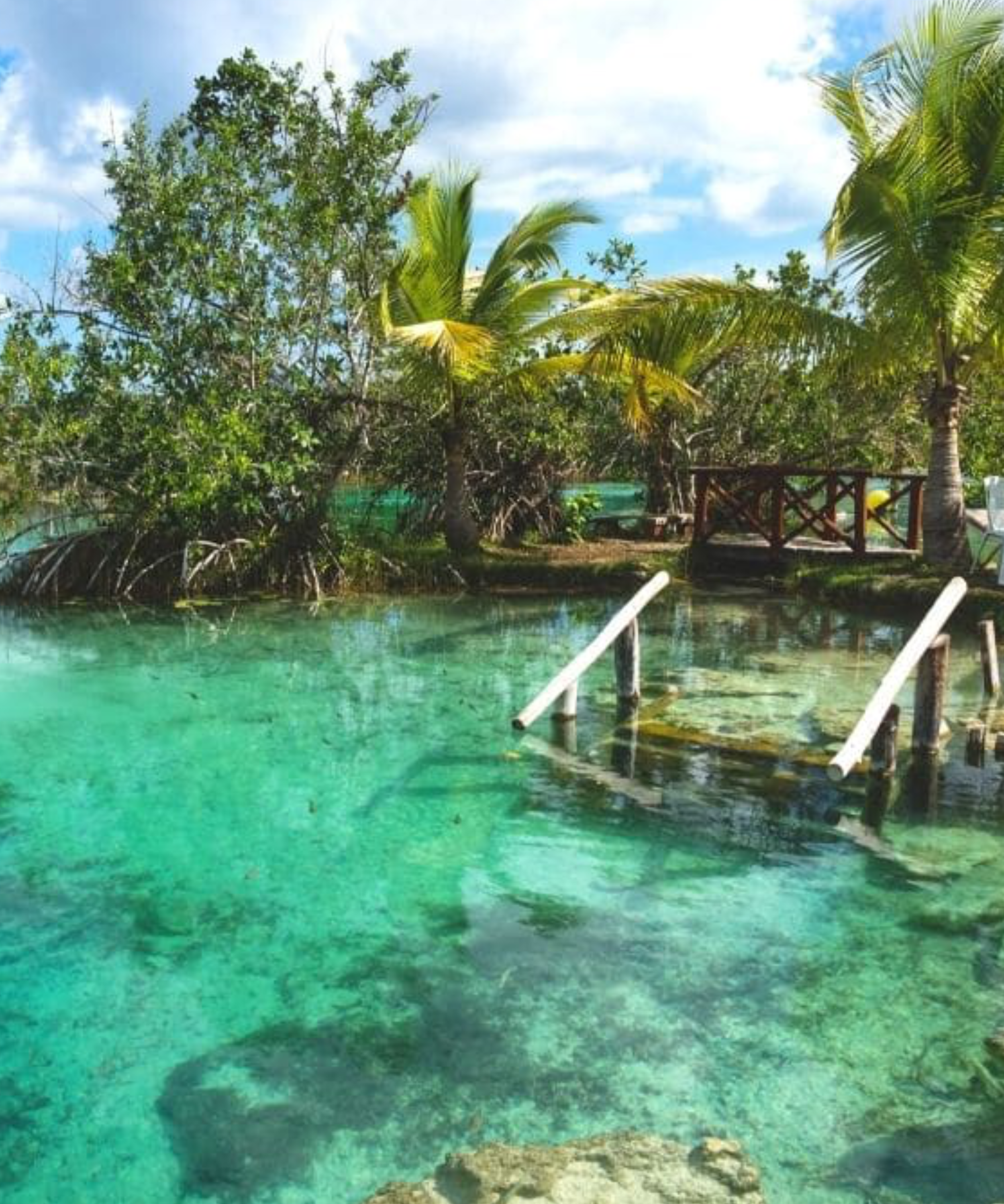 Bacalar