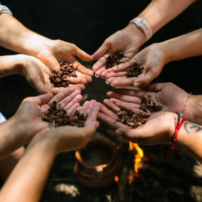 Xaman's Ceremony: Ancestral Cacao