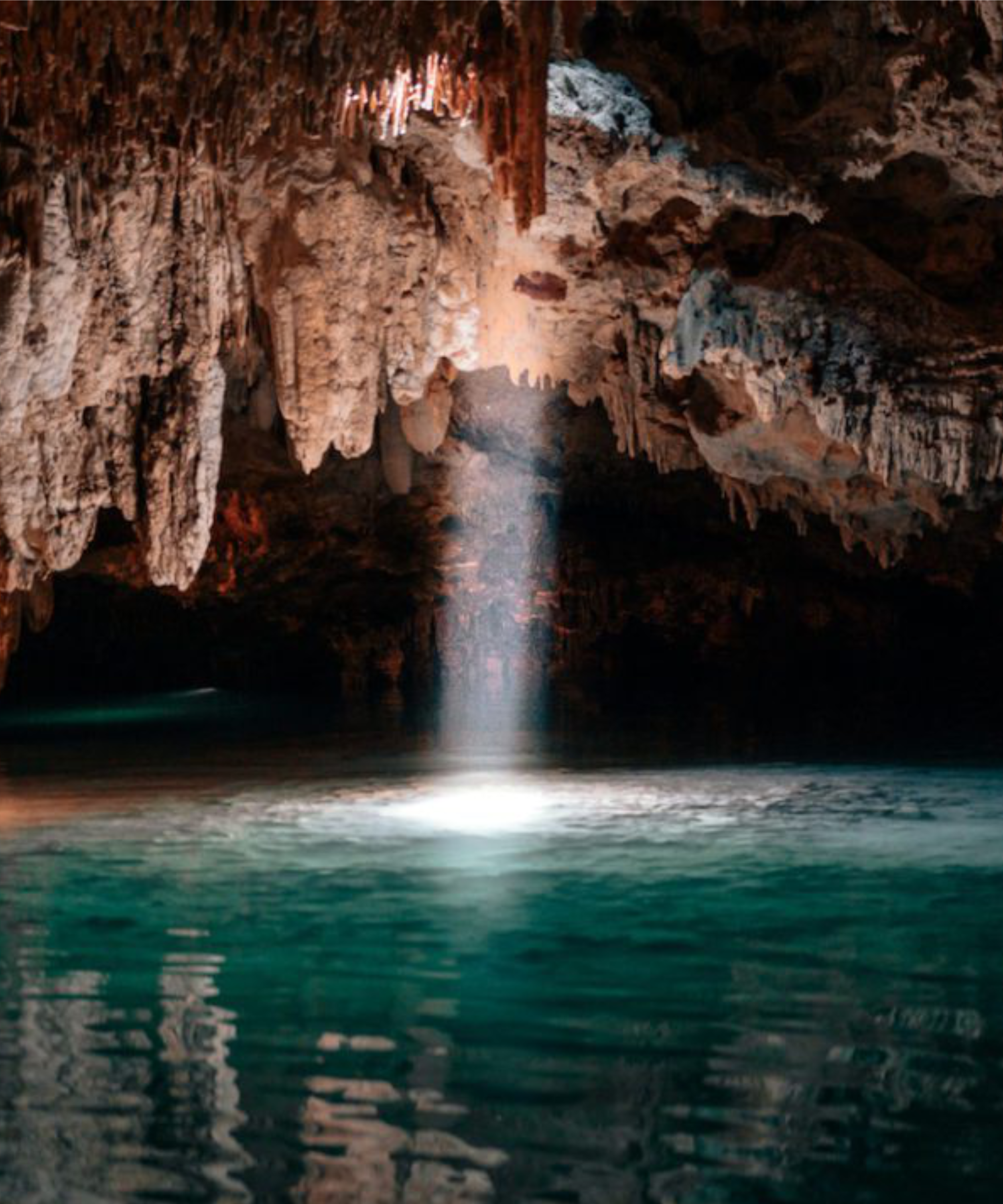Turtle Bay & Cenote Paradise