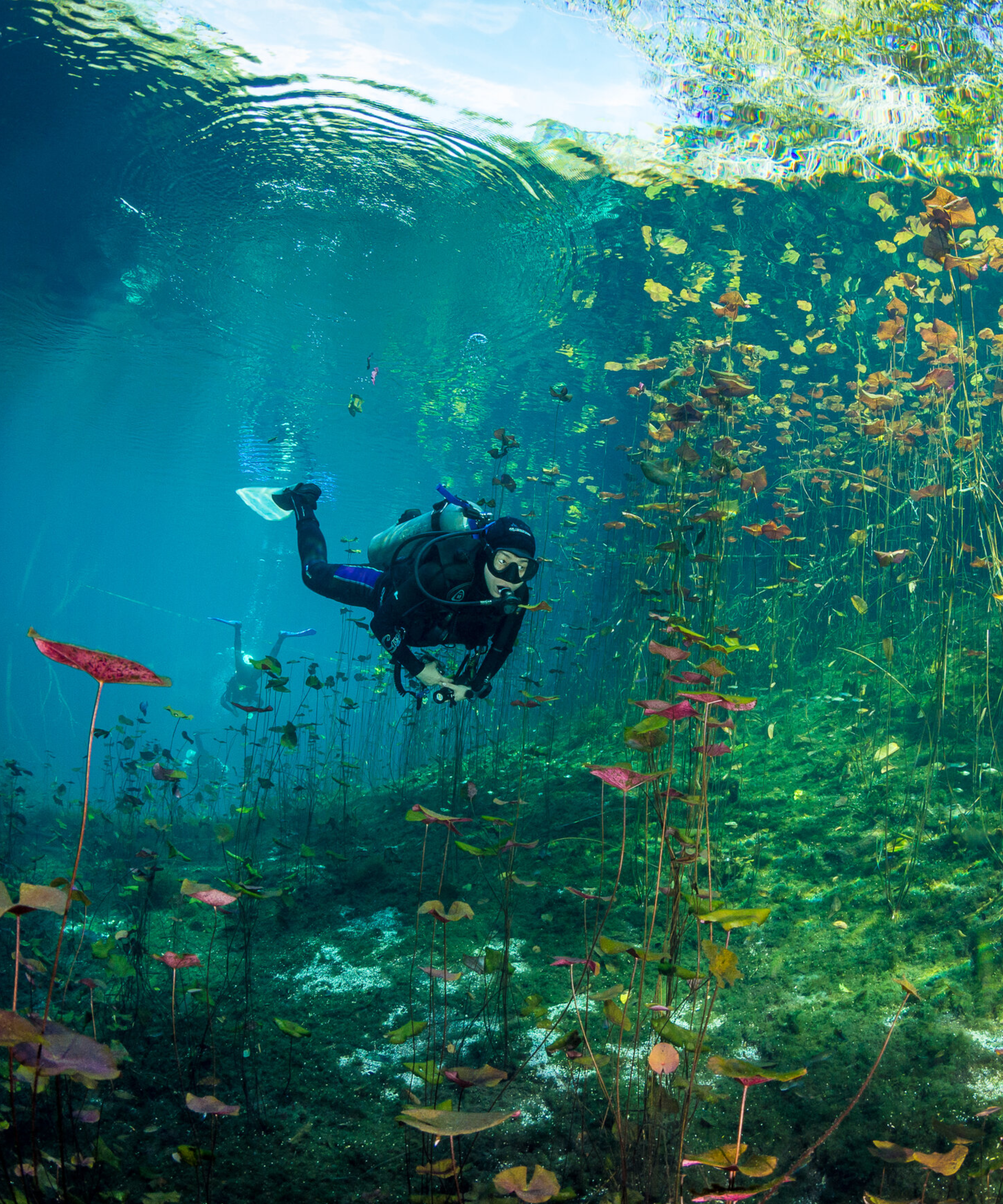 Cenote Scuba Diving
