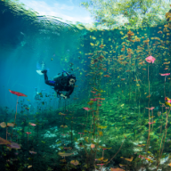 Cenote Scuba Diving