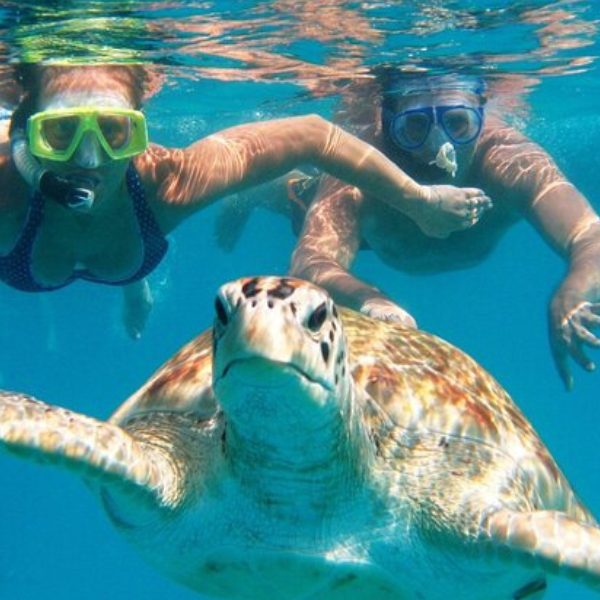 Turtle Swim & Jungle Adventure Tour: Ziplines, Rappel, ATV & Cenote Exploration