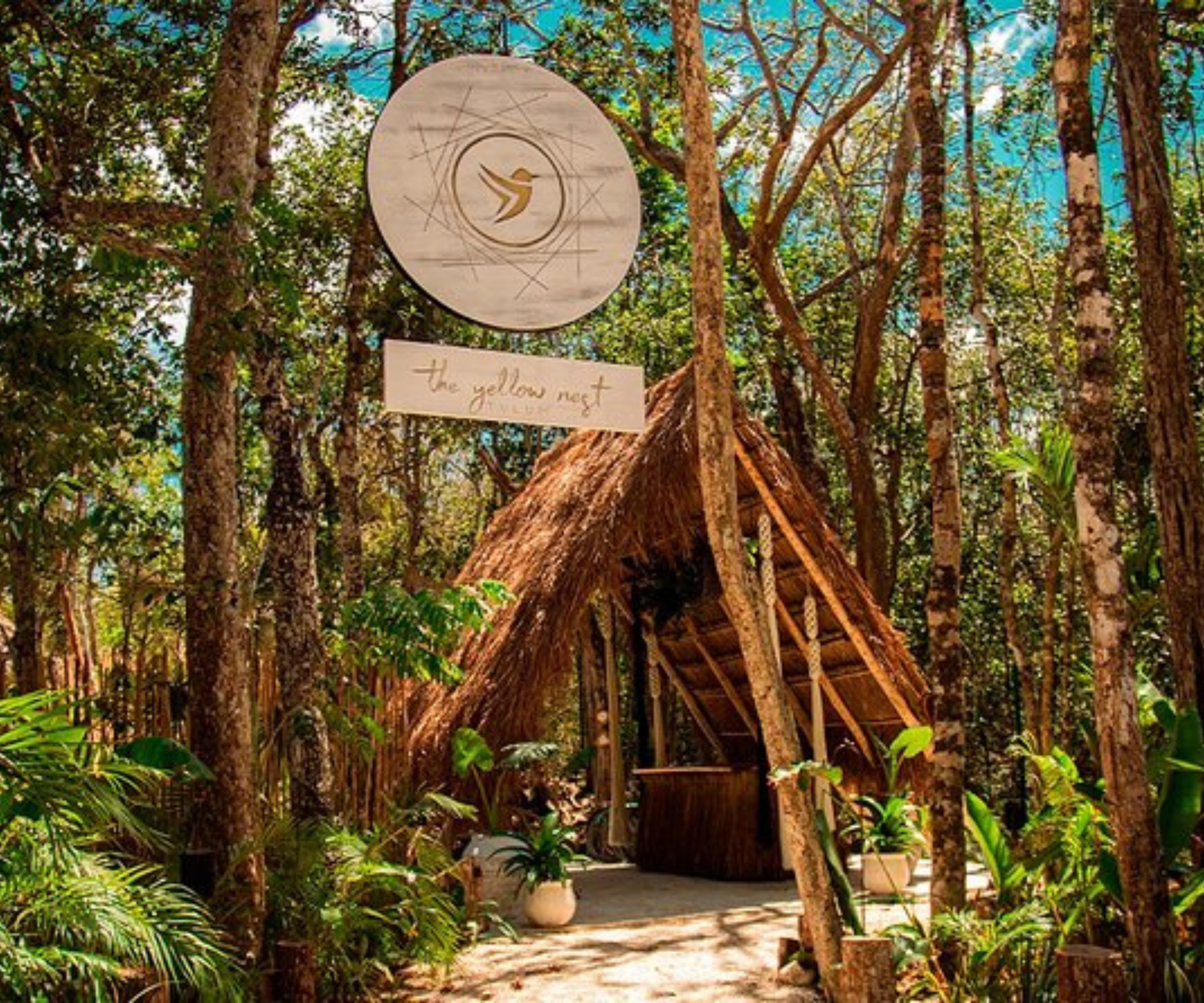 The Yellow Nest | DayPass + Cenote Tour