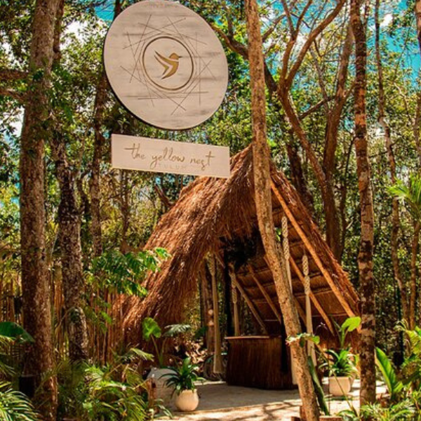 The Yellow Nest | DayPass + Cenote Tour